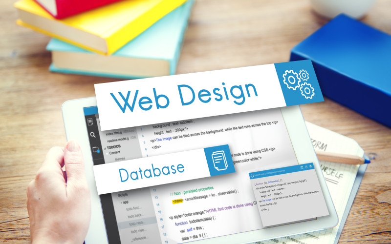 Professional Website Development Services